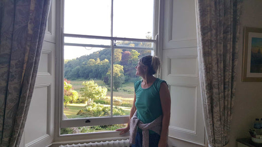 view from bed and breakfast window